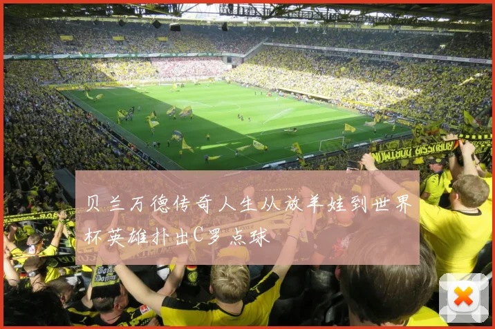 贝兰万德传奇人生从放羊娃到世界杯英雄扑出C罗点球